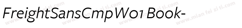 FreightSansCmpW01 Book字体转换